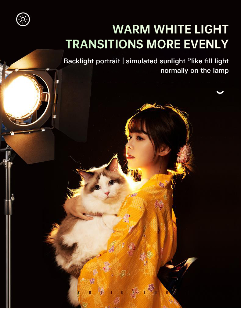 ไฟสปอตไลท์ Beiyang 2000W สำหรั - Photography Lighting For Indoor บทวิจารณ์และราคา